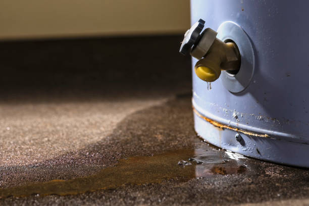 Best Basement water damage restoration  in Lake Placid, FL