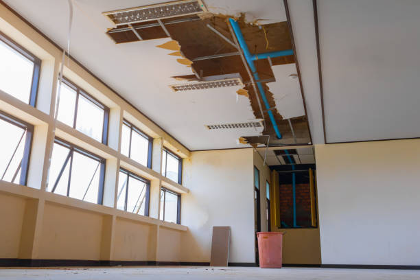 Best Residential water damage restoration  in Lake Placid, FL