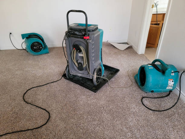Best Mold removal after water damage  in Lake Placid, FL