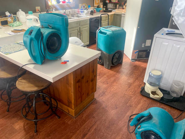 Best Water damage restoration mold remediation  in Lake Placid, FL