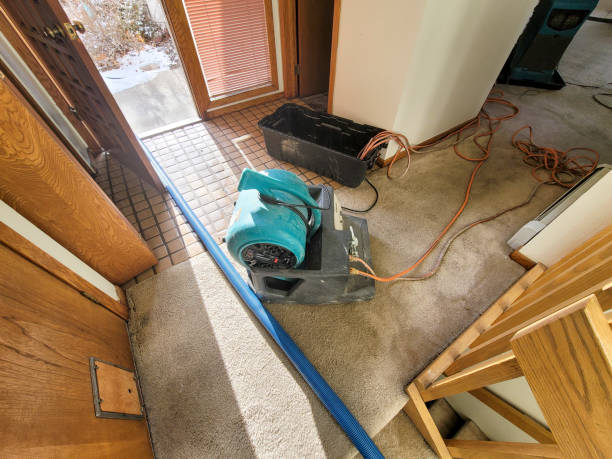 Best Local water damage restoration  in Lake Placid, FL