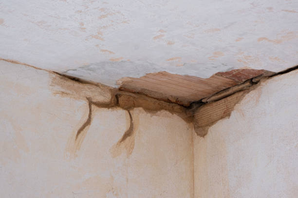 Best Flood damage cleanup  in Lake Placid, FL