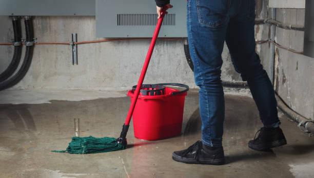Best 24-hour water damage restoration  in Lake Placid, FL