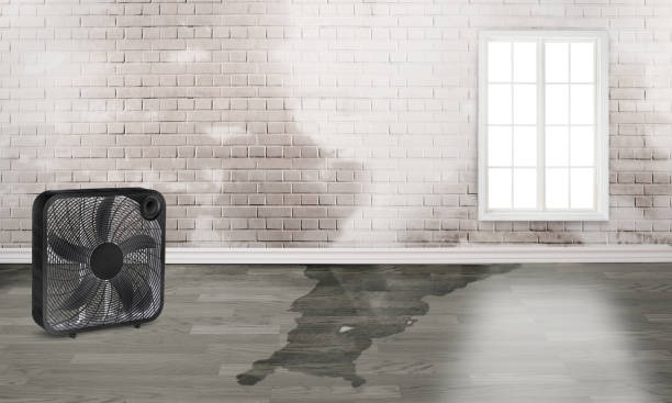  Lake Placid, FL Water damage restoration Pros