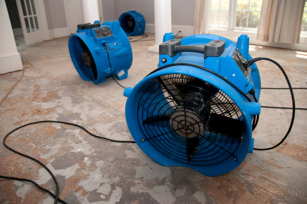 Water damage restoration mold remediation in Lake Placid, FL
