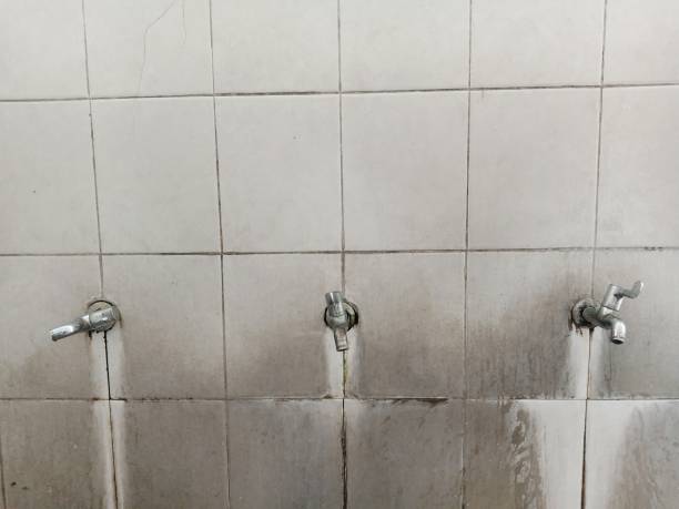 Best Water damage restoration experts  in Lake Placid, FL