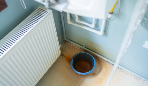 Best Water damage restoration insurance claims  in Lake Placid, FL