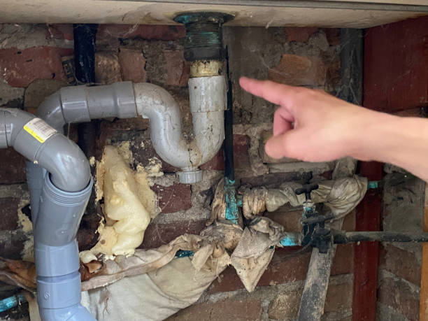 Best Ceiling water damage repair  in Lake Placid, FL