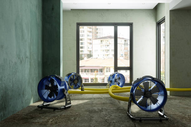 Professional Water damage restoration in Lake Placid, FL